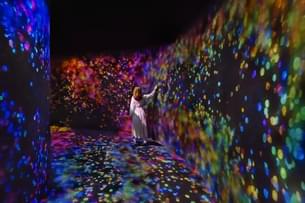 Lose yourself in glowing tunnels of ever-changing digital beauty and wonder