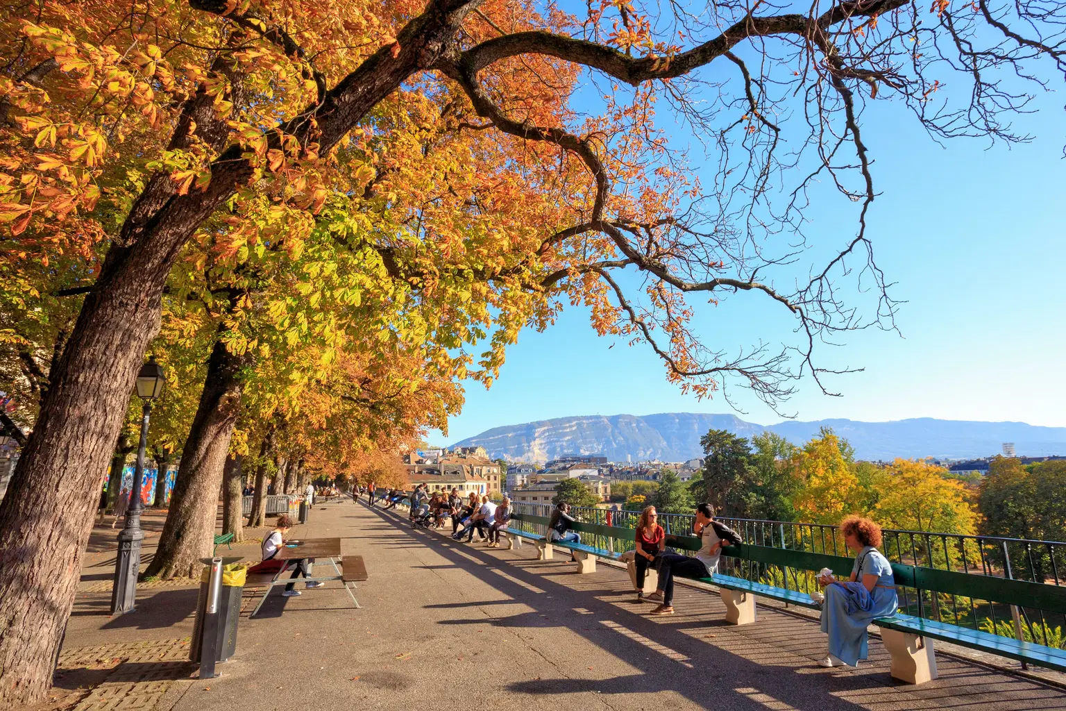 Treille Promenade