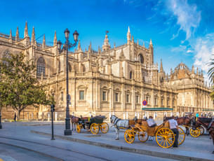 Catedral de Sevilla Guided Tour