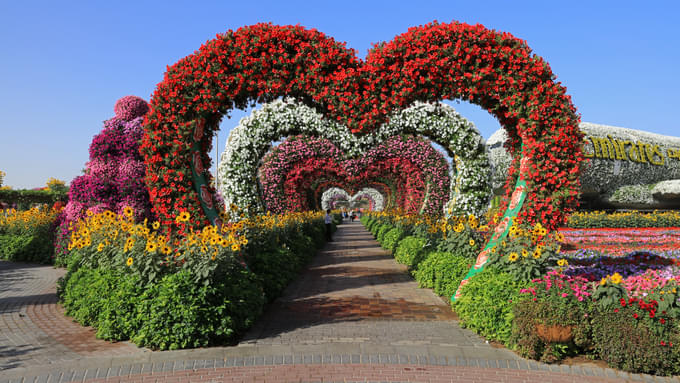 Dubai Miracle Garden 