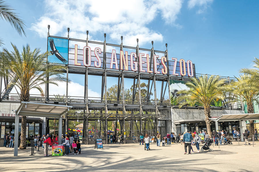 Spend a day exploring the diverse range of flora & fauna at the Los Angeles Zoo