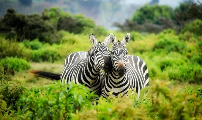 Marakele National Park