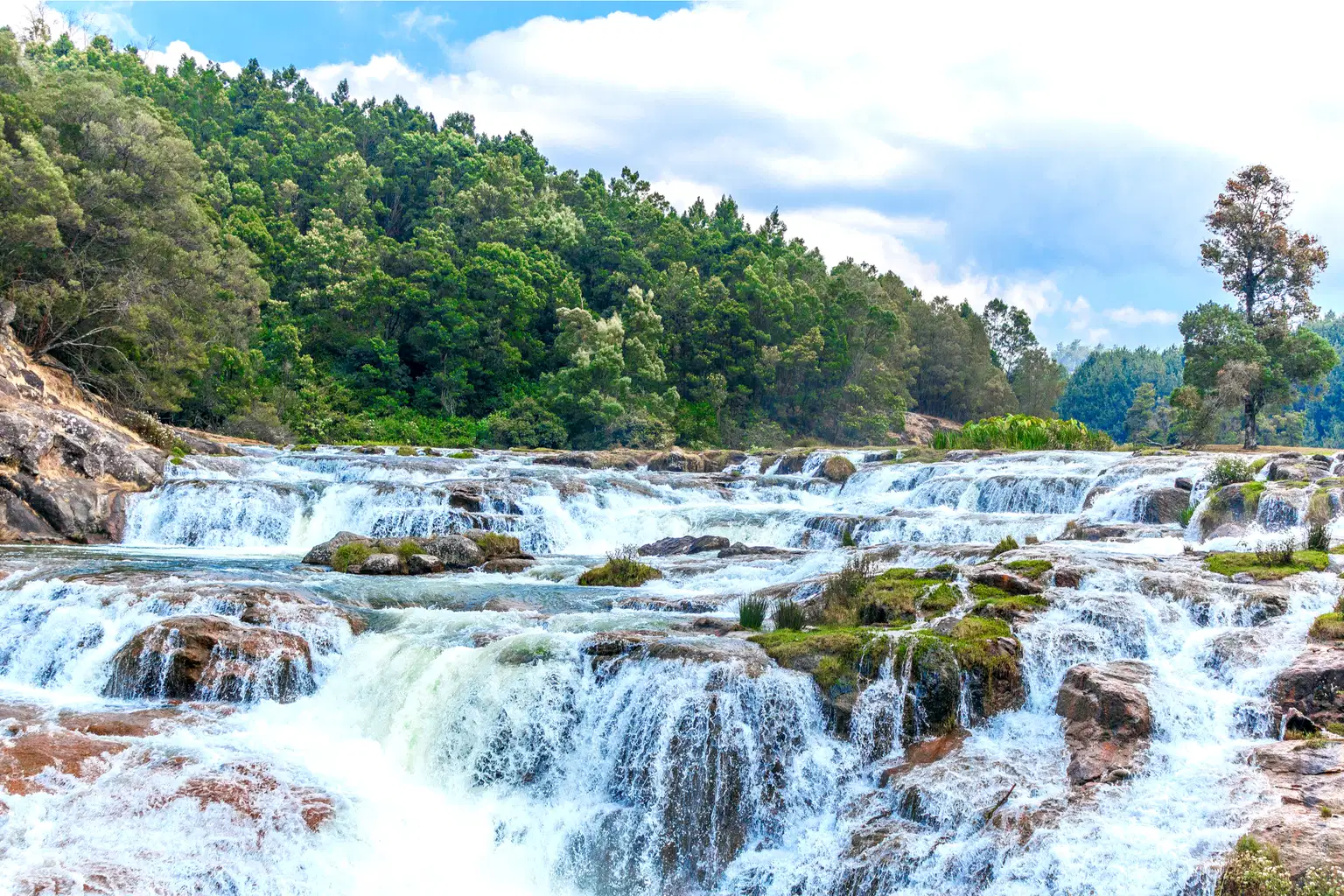 Pykara And Mudumalai Sightseeing Tour