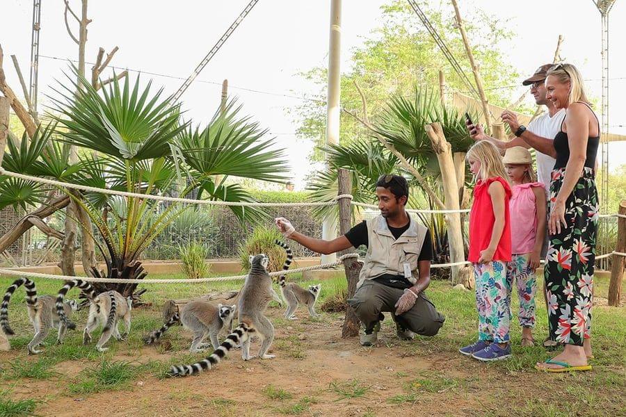  Enjoy Al Ain Zoo Safari