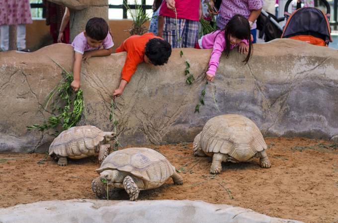 Emirates Park Zoo