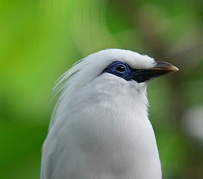 Enjoy a Bird-Watching Adventure