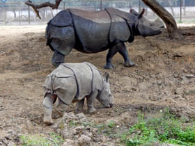 Cfud4akjpuhzlrzqngnq44gc87no 1629094489 shutterstock 1078874774