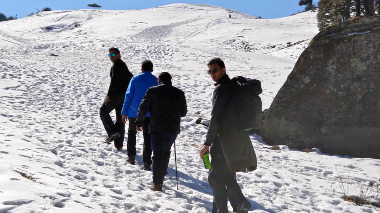Traveller photo
