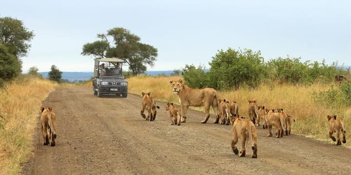 Explore Kruger National Park.jpg