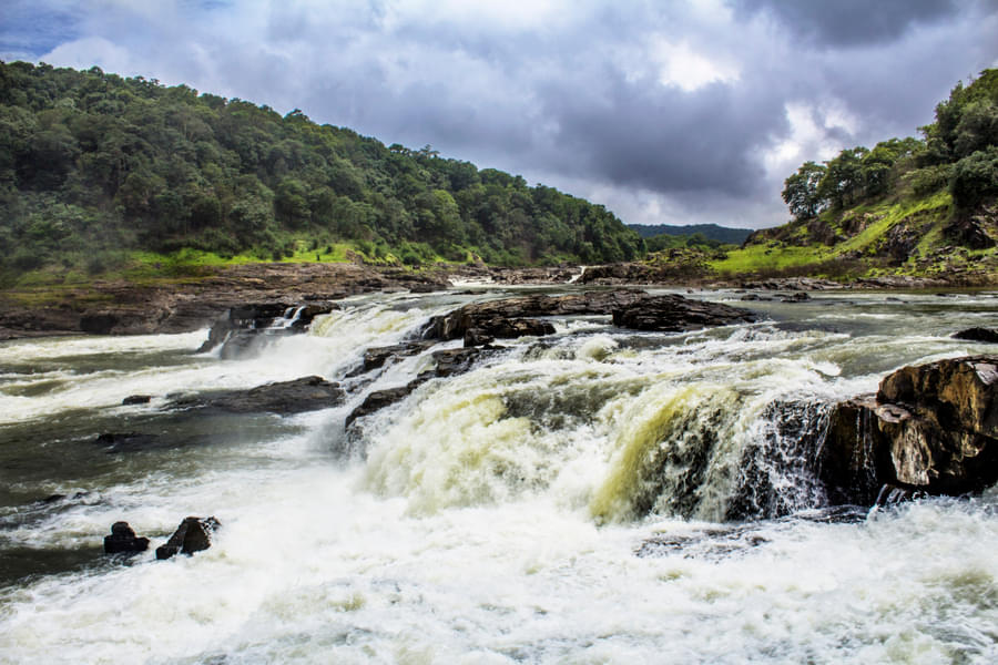 Dandeli Tour Package from Bangalore Image