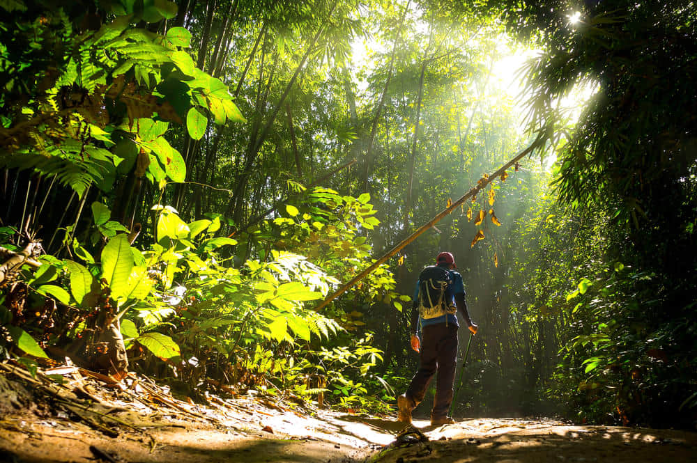 Trekking Experiences in Bhopal