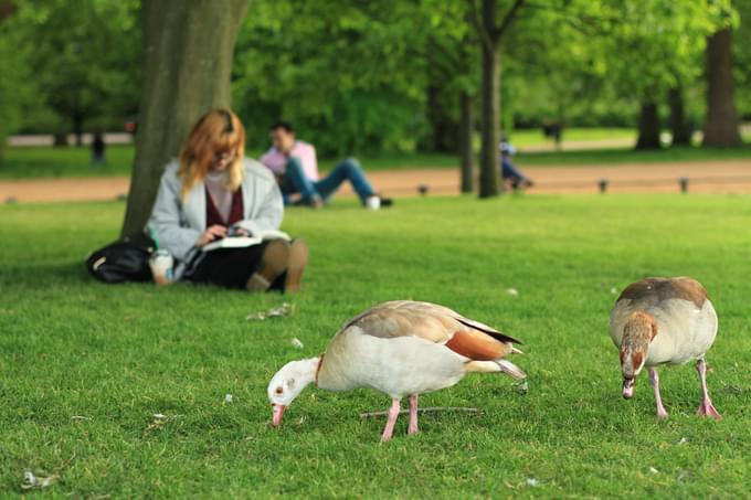 Hyde Park London