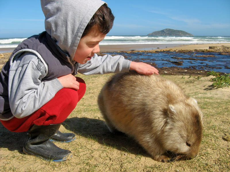 Day Tour to Wilsons Promontory National Park, Melbourne Image