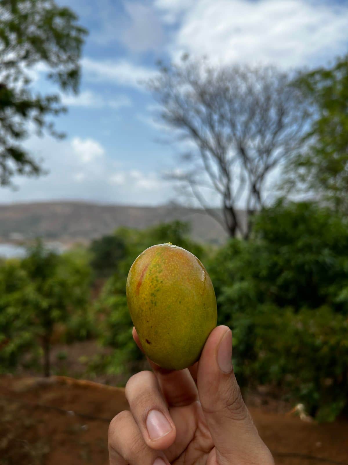 Photo from Shweta Kheskani's trip