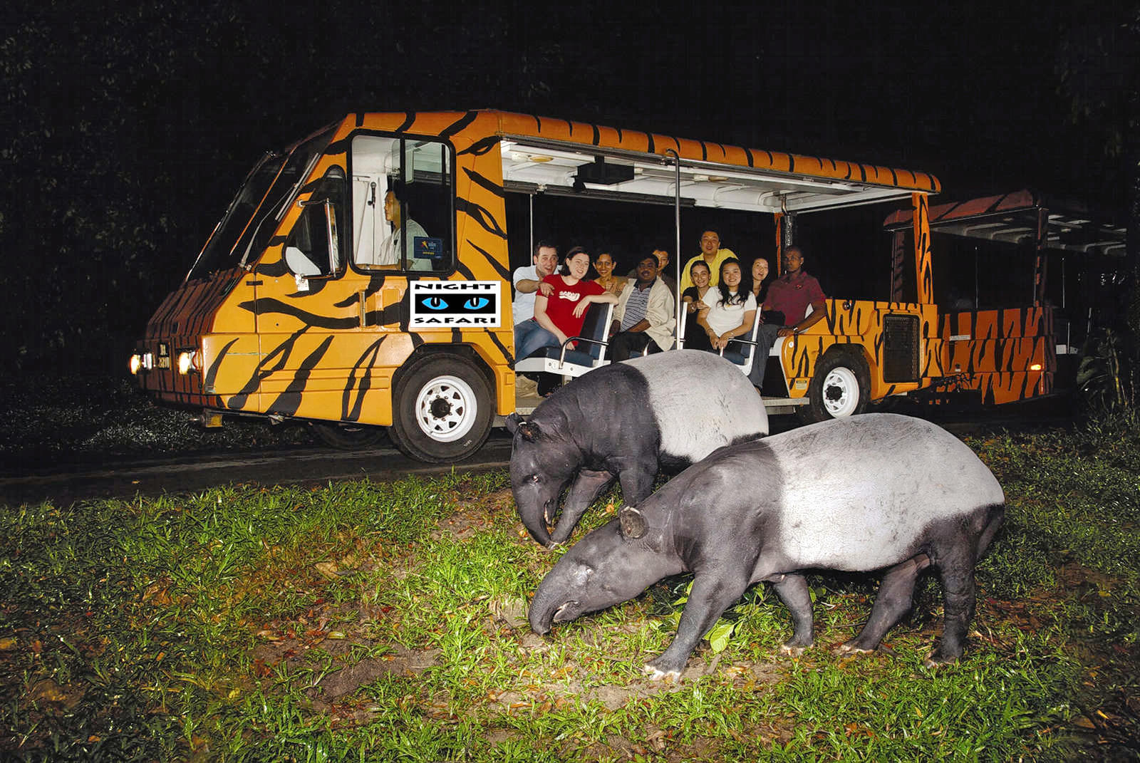 Wildlife tours