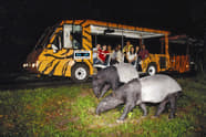 Singapore Tourism Places Best Time Tour Packages 2025 Singapore Tourism Places Best Time Tour Packages 2025