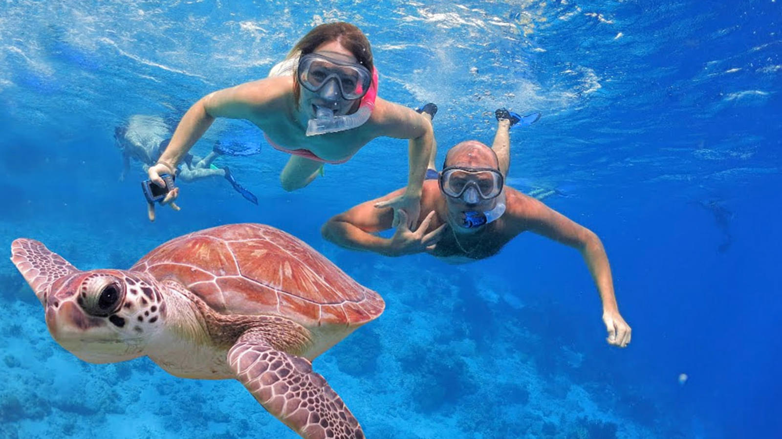 Make memories underwater with your companions