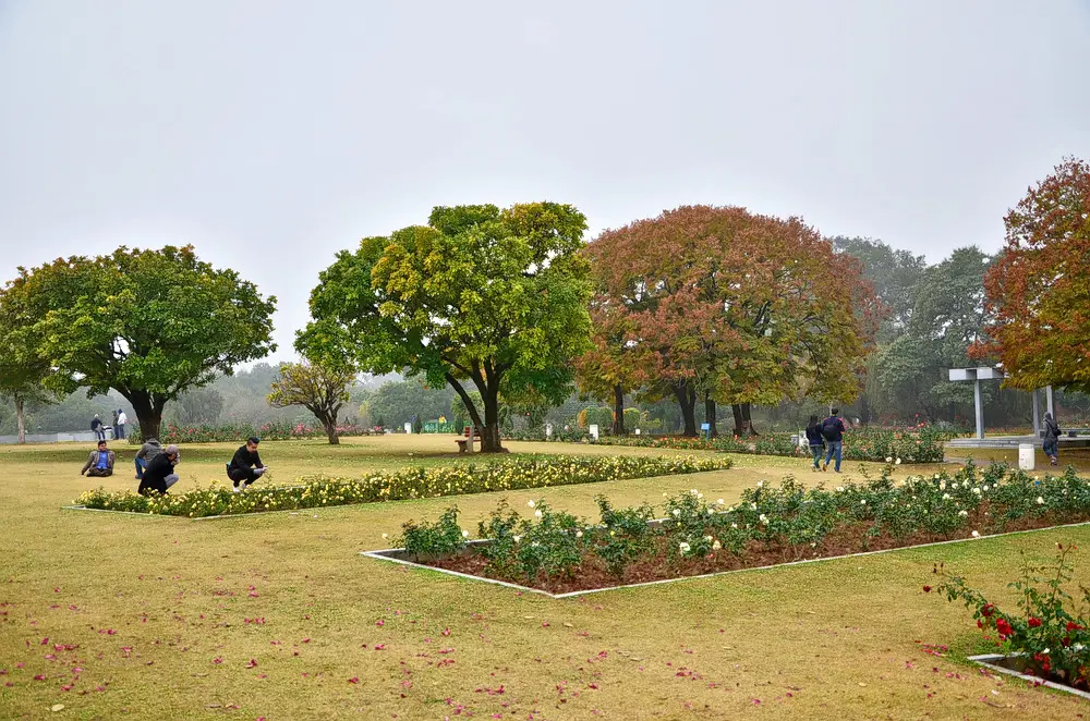 Zakir Hussain Rose Garden
