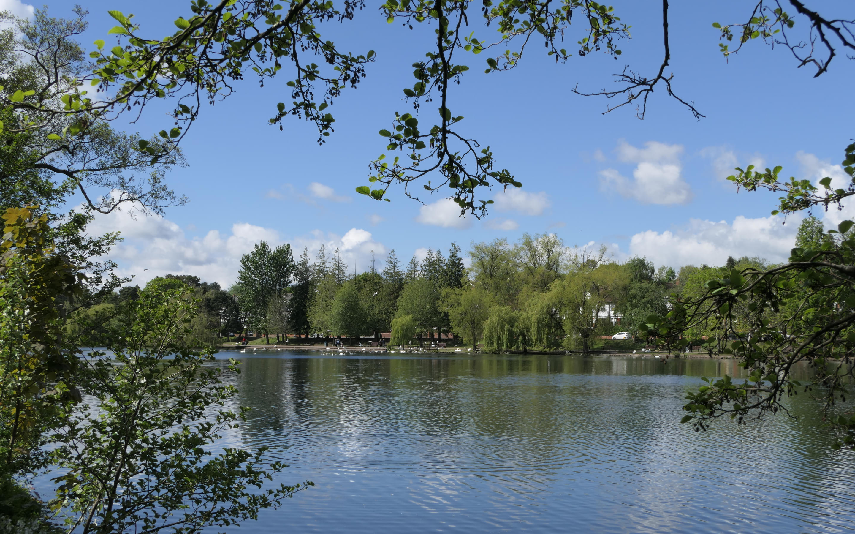 Roath Park Overview