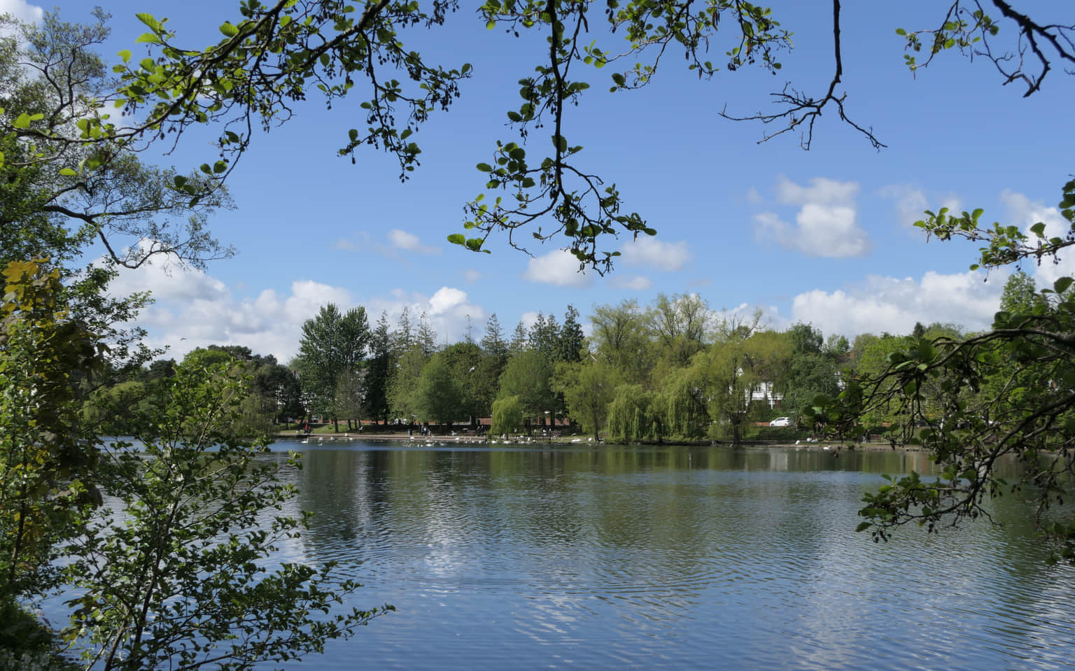 Roath Park, <em>Wales</em>