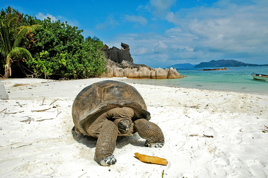 10 Days Seychelles Tour Package Image
