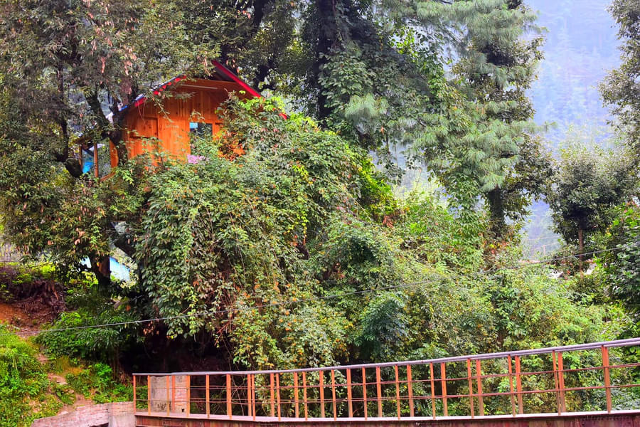 Natureside Treehouse In Jibhi Image