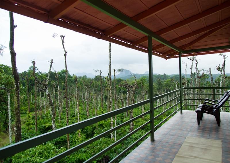 A Villa Stay Amidst Vast Coffee Plantations of Wayanad Image