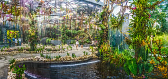 See the beautiful gardens