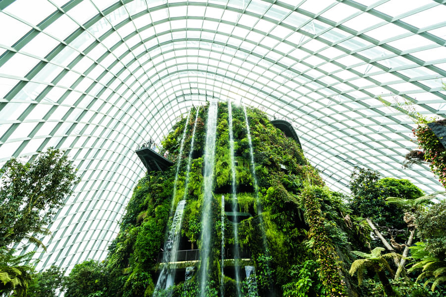 Gardens by the Bay, Marina Bay Sands Skypark Observation Deck & Sampan ...