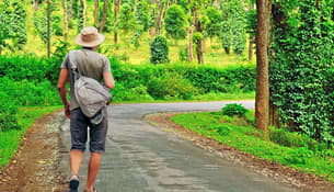 Cjet9u6h6flio226sb9vb63vwew3 1599223406 nature walk2