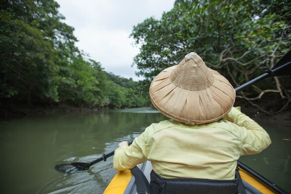 Embark Kayak through the mangroves