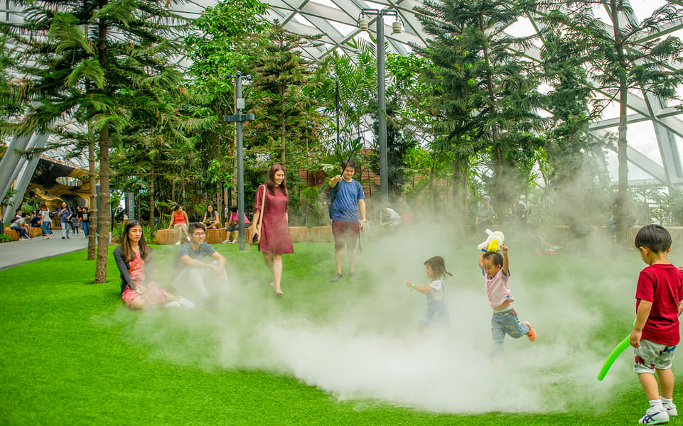 Canopy Park Tickets Image