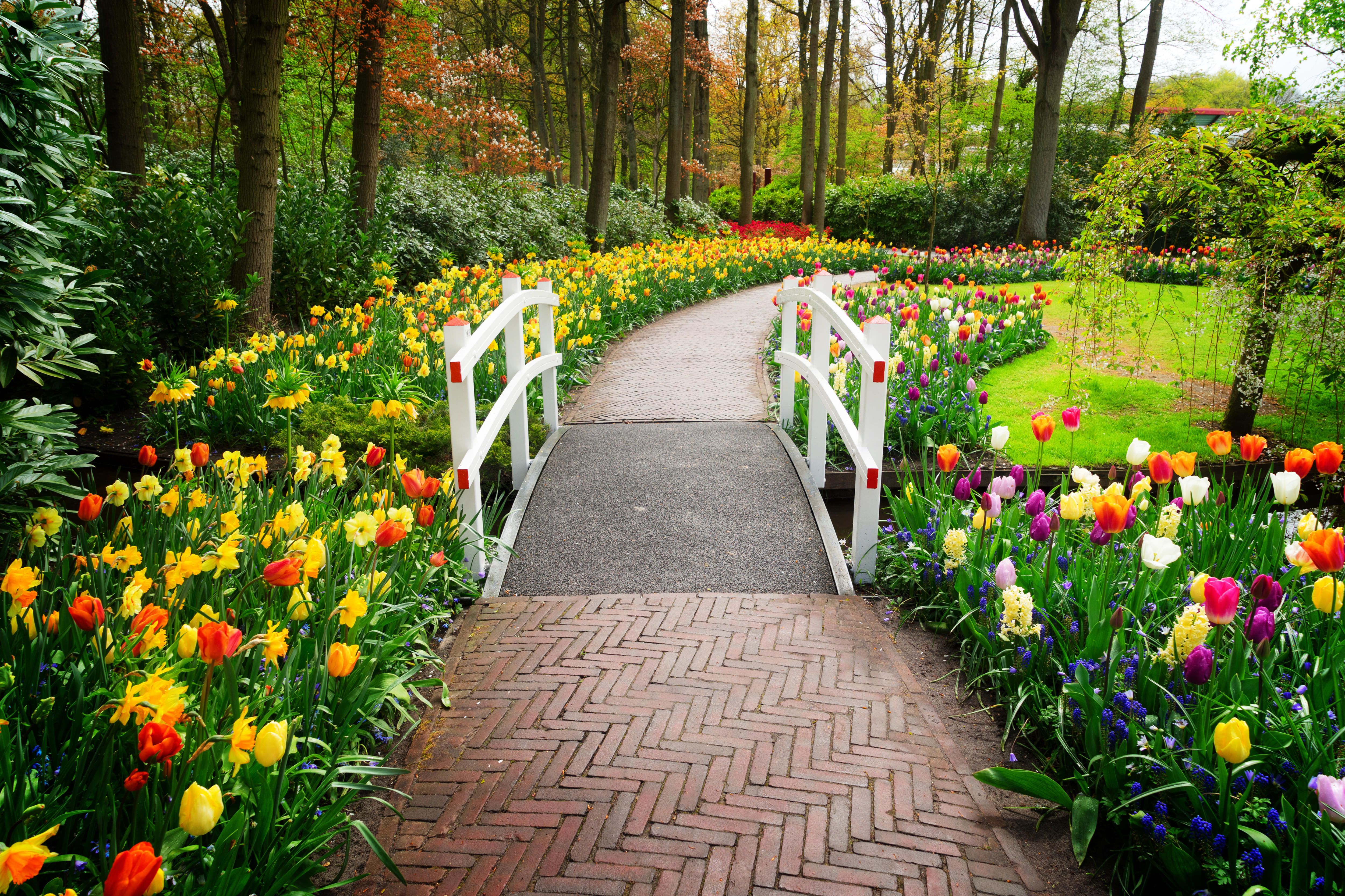 Stone Walk Way in Garden of Europe