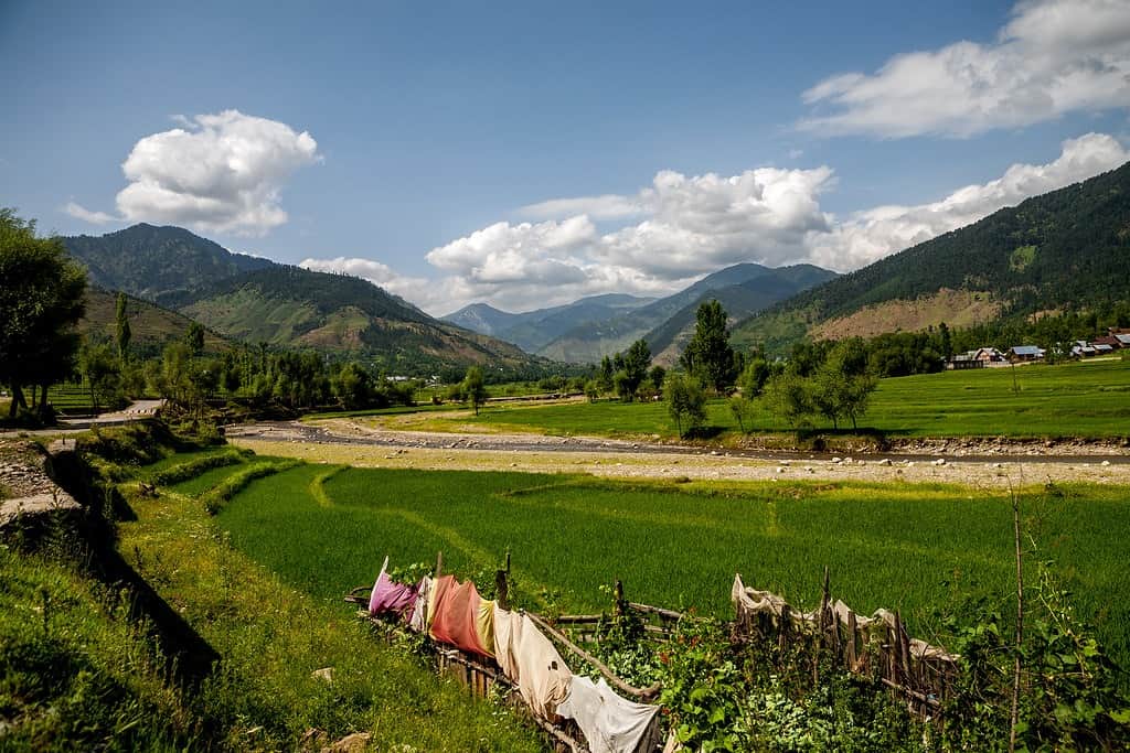 Lolab Valley, <em>Jammu and Kashmir</em>