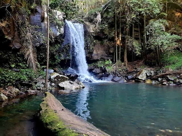 Curtis Falls Overview