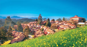 Hotel Lakeview, Ooty | Luxury Staycation Deal