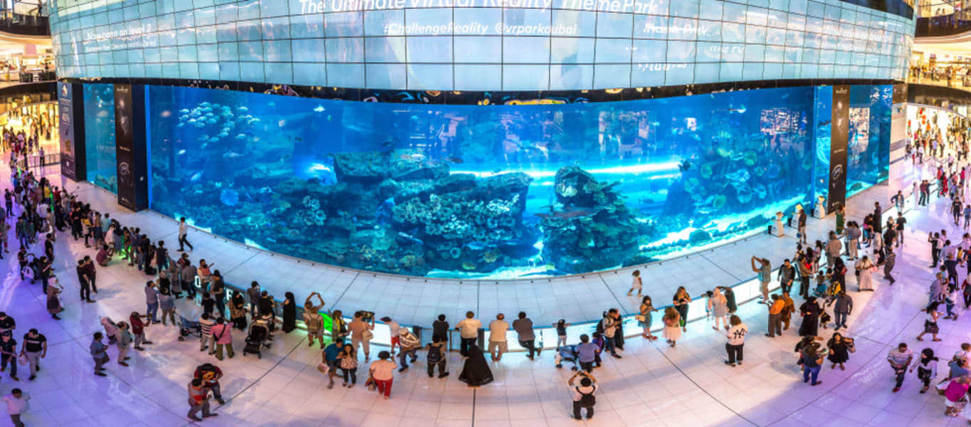 Underwater Zoo and Aquarium