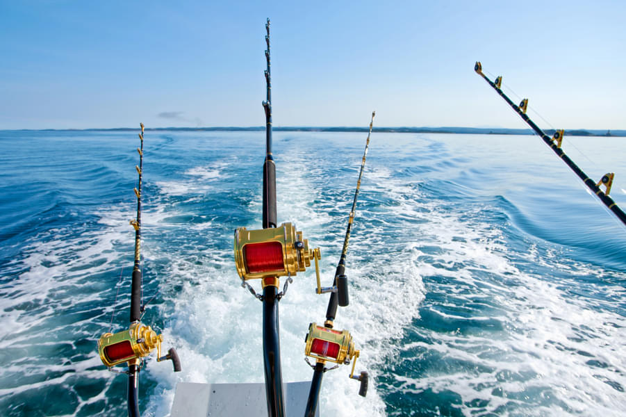 Gear up for a day of fishing with the right equipment 