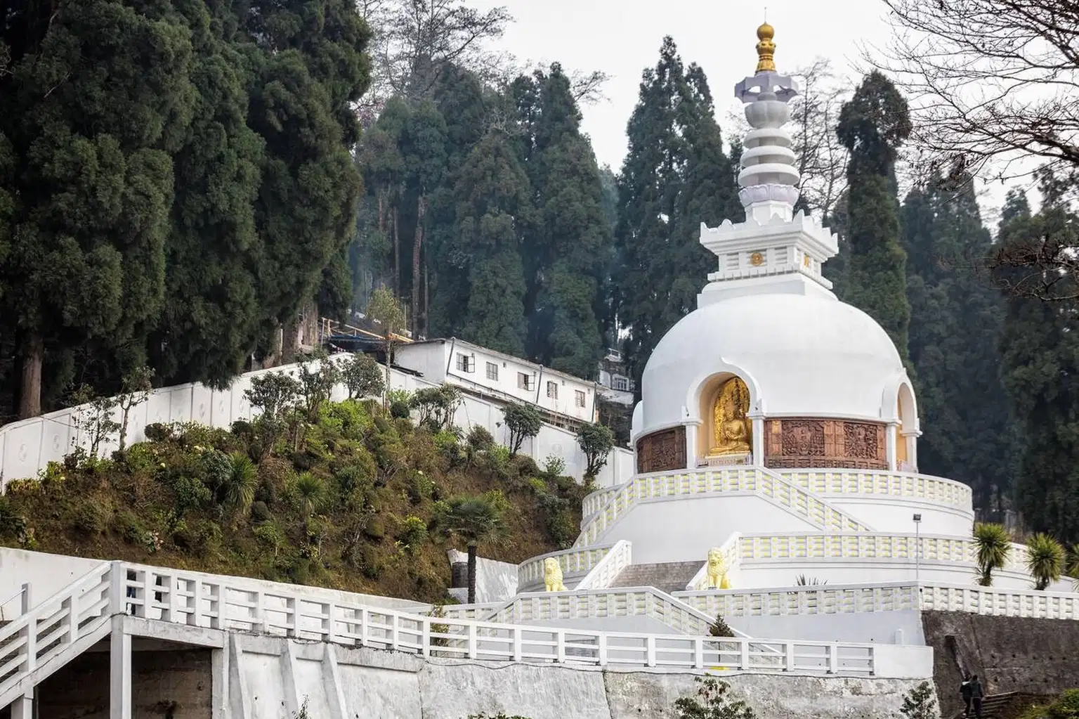 Darjeeling Half Day Sightseeing Tour