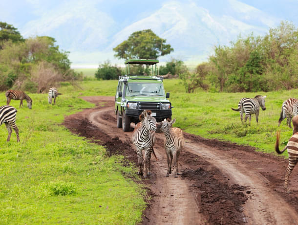 kenya tour flight centre