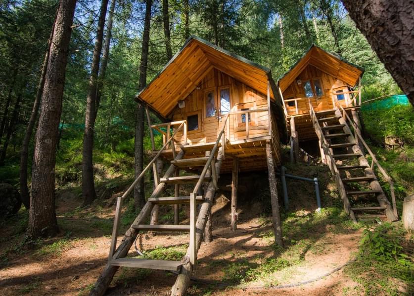 A Serene Tree House based in the Lap of Nature Image