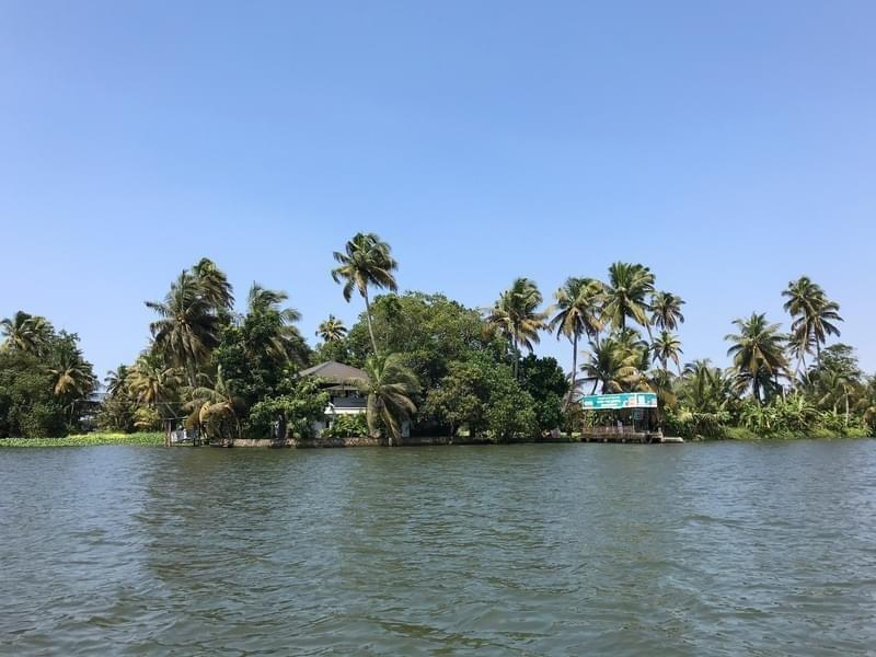 Best Activities To Do In Alleppey