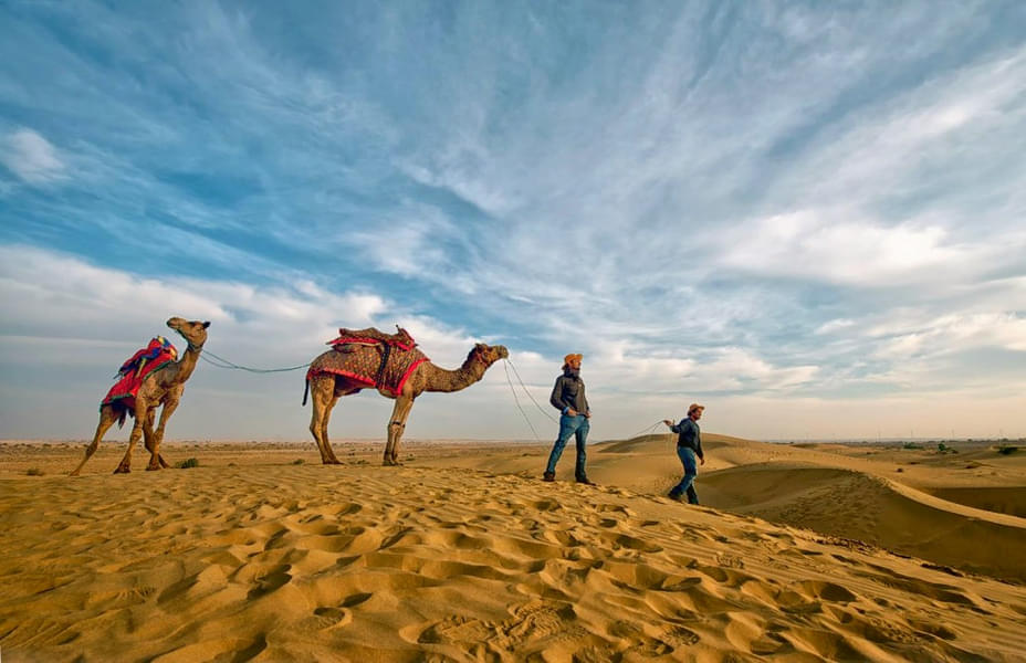 One Day Camel Safari in Jaisalmer Image