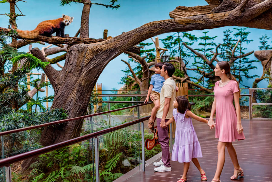 Buy river safari online ticket and get chance to visit Singapore zoo river safari