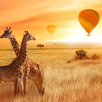 thrilling-vacation-of-kenya-in-7-days