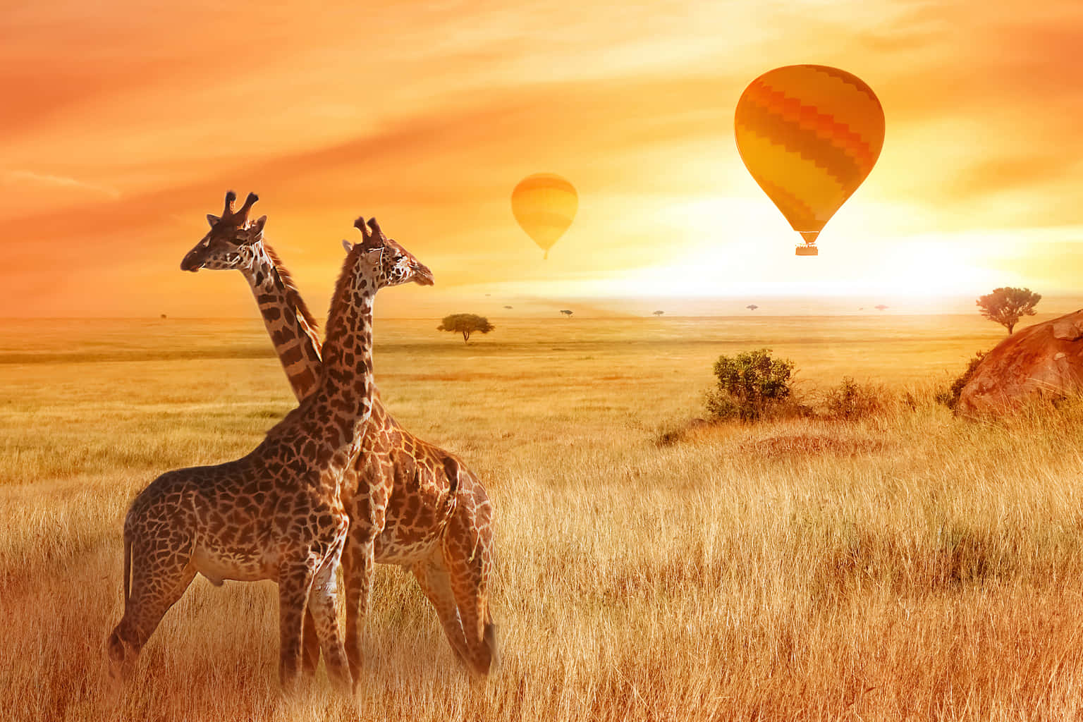 Kenya Ultimate Safari Adventure | Realm of the Big Five
