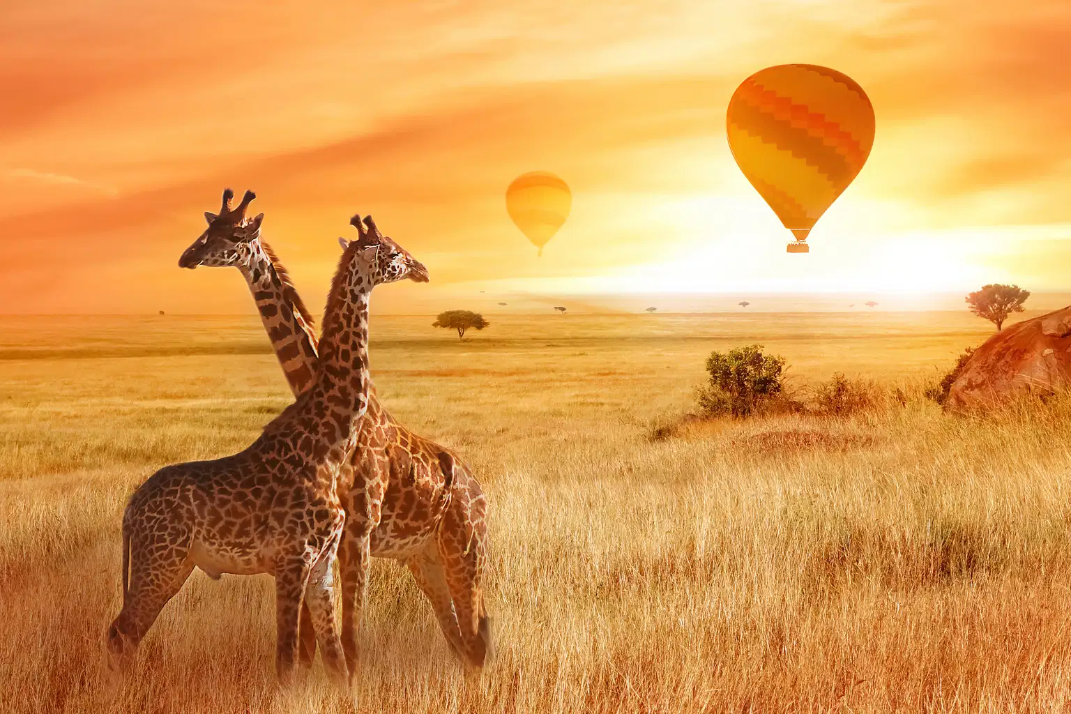 Kenya Ultimate Safari Adventure | Realm of the Big Five