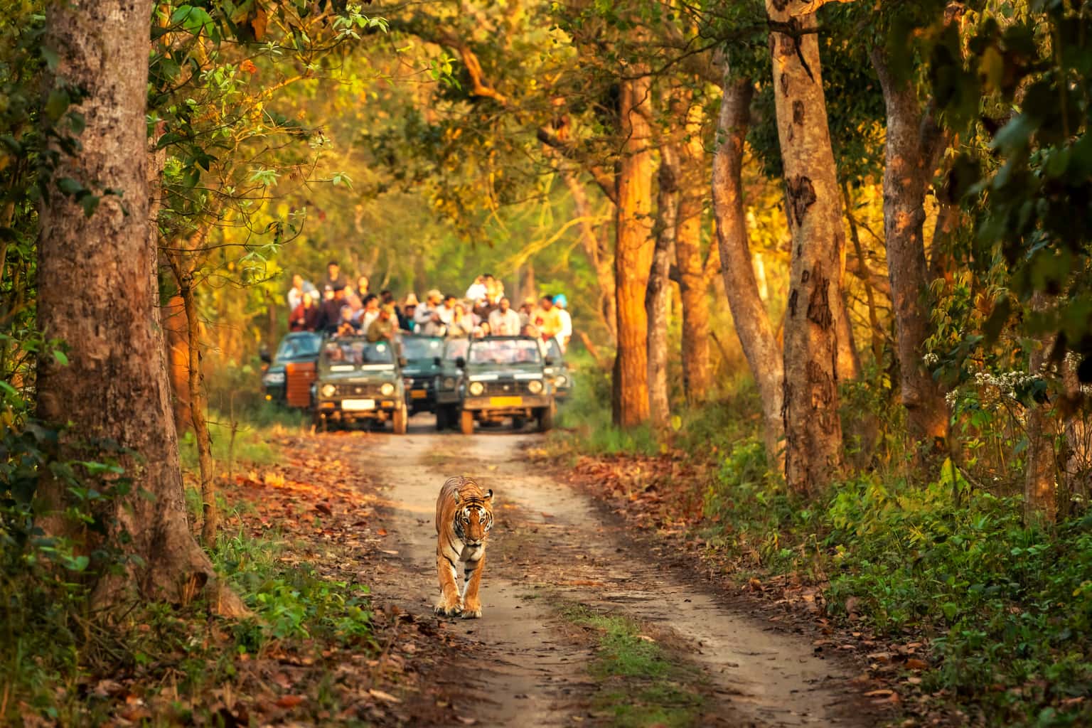 Splendid Uttarakhand - Lakes and Wildlife Tour