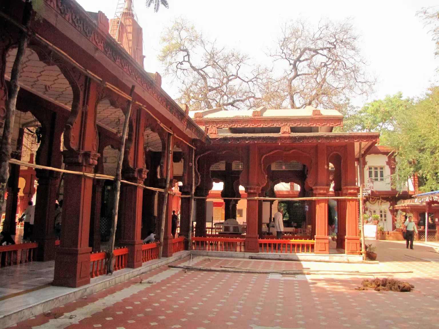 Saras Baug