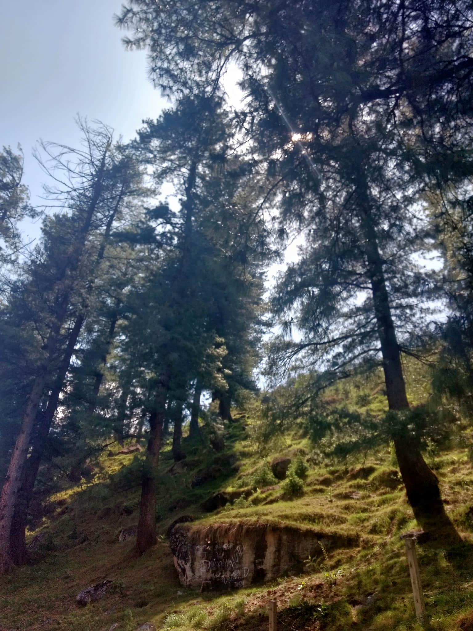 Photo from Anjali Anjali's trip